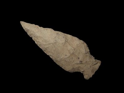 2 1/16" Scallon. Bird Point. Pettis County, Missouri.