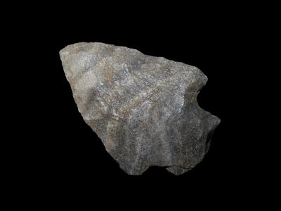 2 1/4" Quartzite Etley Point. Butler County, Missouri. Found near Poplar Bluff by JJ Smith 1953 