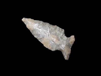 1 1/2" Bird Point. Pettis County, Missouri.