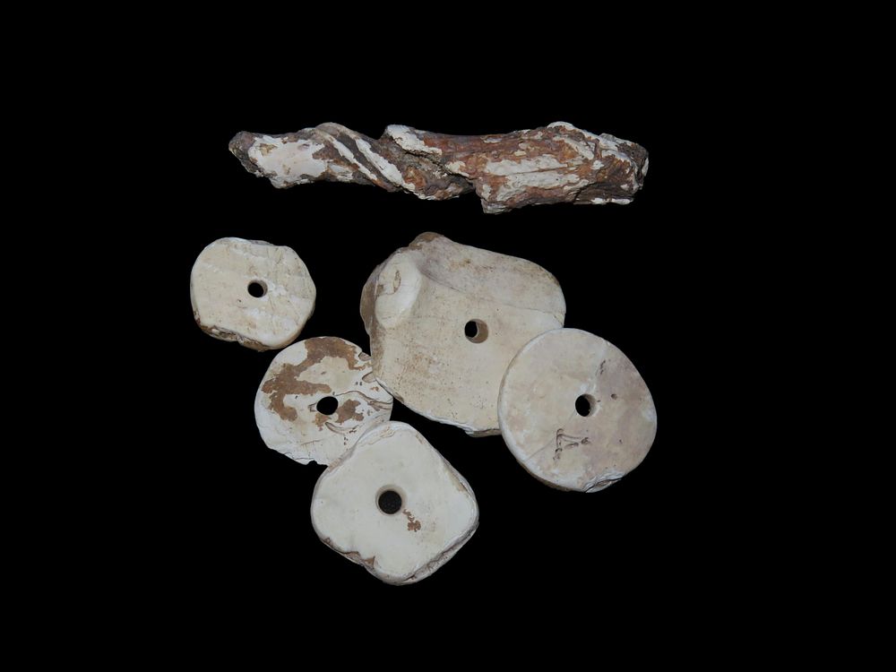 Cahokia Mississippian. Large Disc, Beads & Pendant. Made of Conch Shell. Largest Bead 1 5/8" 