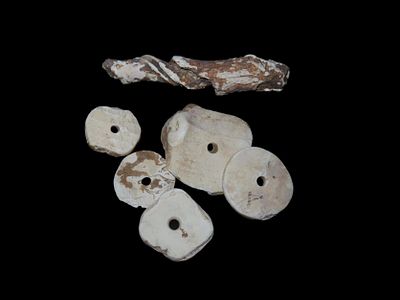 Cahokia Mississippian. Large Disc, Beads & Pendant. Made of Conch Shell. Largest Bead 1 5/8" 