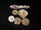 Cahokia Mississippian. Large Disc, Beads & Pendant. Made of Conch Shell. Largest Bead 1 5/8" Image - 1