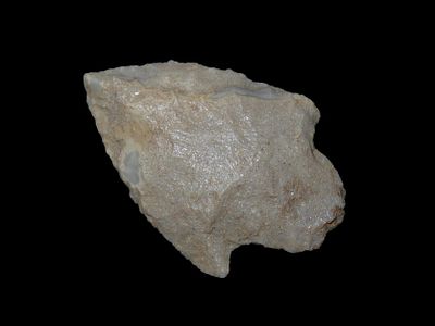 2 1/4" Quartzite Etley Point. Butler County, Missouri. Found near Poplar Bluff by JJ Smith. 