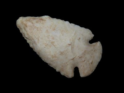 2 1/4" Dovetail, Ex Schoon, Woodford County, Illinois