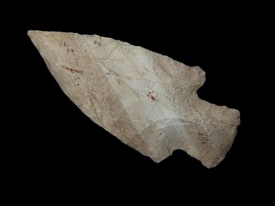 2 7/8" Dehali Needle Tip, Ex Schoon, Woodford County, Illinois