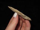 2 7/8" Dehali Needle Tip, Ex Schoon, Woodford County, IllinoisImage - 2