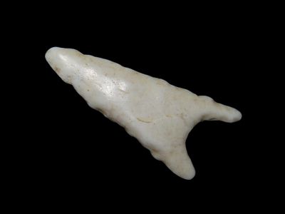 Rare 1 1/2" Fully polished Flint Cahokia Bird Point, Madison Co. Illinois. Motley COA. Very 