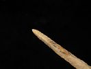 3 3/4" Paddle Drill, Pottawatomie Co. Kansas. Finely Flaked example with great patina.Image - 5