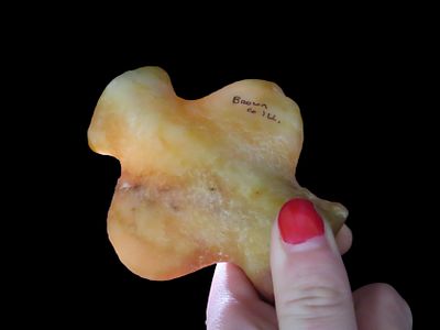 Incredible Quartz Bottle Bannerstone Preform, Brown Co. Illinois. Dickey & Motley COA's. Ex 