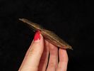3 1/2" Agate Folsom Knife, Lincoln Co. Colorado, Motley COA. Outstanding Paleo Ovoid found near Image - 2