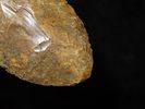 3 1/2" Agate Folsom Knife, Lincoln Co. Colorado, Motley COA. Outstanding Paleo Ovoid found near Image - 6