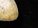 3 1/2" Agate Folsom Knife, Lincoln Co. Colorado, Motley COA. Outstanding Paleo Ovoid found near Image - 8