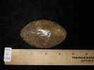 3 1/2" Agate Folsom Knife, Lincoln Co. Colorado, Motley COA. Outstanding Paleo Ovoid found near Image - 10