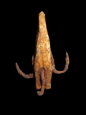 Rare Alaskan Eskimo Treble Hook, Fossilized Bone with 4 inserted Metal hooks. Very Rare 200-300 