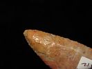 Incredible 3 3/4" Archaic Corner Notch / Stillwell, Richland Co. Ohio. Bennett's COA. Beautiful Image - 8