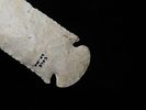 4 3/16" Dovetail, Cole Co. Missouri. Motley COA. Wonderful Classic example with great flaking Image - 6