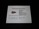 2 1/8" Hixton Scottsbluff, Butler Co. Missouri. Motley COA. Nice classic shape, made from Image - 1