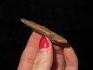 2 1/8" Hixton Scottsbluff, Butler Co. Missouri. Motley COA. Nice classic shape, made from Image - 6