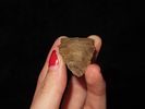2 1/8" Hixton Scottsbluff, Butler Co. Missouri. Motley COA. Nice classic shape, made from Image - 7