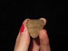 2 1/8" Hixton Scottsbluff, Butler Co. Missouri. Motley COA. Nice classic shape, made from Image - 8