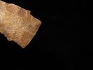 2 1/8" Hixton Scottsbluff, Butler Co. Missouri. Motley COA. Nice classic shape, made from Image - 10