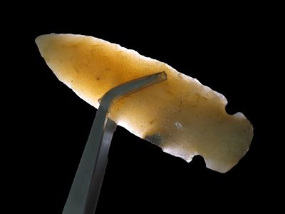 3 3/4" Hixton Dovetail, Walworth Co. Wisconsin, Highly Translucent. Nice larger example with 