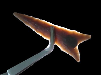 Amazing 3 1/2" Knife River Flint Dalton, Lee Co. Iowa. Motley COA. Highly Transucent example 