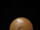 Incredible Fort Ancient Discoidal Effigy Pipe from Ohio. Motley COA. Made from a well polished Image - 3