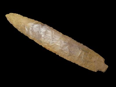 Huge 7 7/8" Elk River Benton, McNairy Co. Tennessee. Dickey COA. Nice and thin with exceptional 