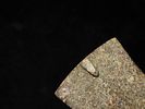 Extremely Rare Pictured Hook Bannerstone, Warrick Co. Indiana. Dickey & Motley COA's. Pictured Image - 4