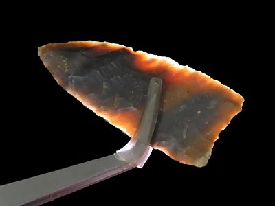 Outstanding Sonora Plainview, Hart County Kentucky, Motley COA. Great Flaking & Incredible 