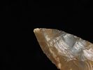 Outstanding Sonora Plainview, Hart County Kentucky, Motley COA. Great Flaking & Incredible Image - 6