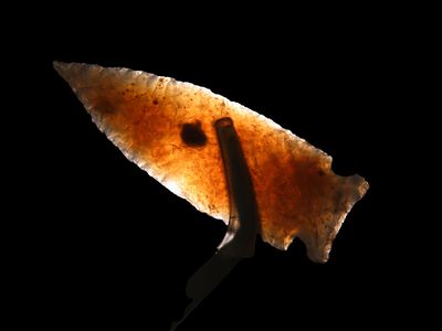 Phenomenal 2 9/16" Knife River Lookingbill, Missoula Co. Montana. Motley COA. Highly 