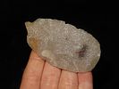 2 3/4" Hixton Early Ovoid with a Needle Tip, Walworth Co. Wisconsin. Nicely flaked andvery thin Image - 2