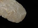 2 3/4" Hixton Early Ovoid with a Needle Tip, Walworth Co. Wisconsin. Nicely flaked andvery thin Image - 5