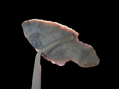 2 3/4" Turkeytail. Adair Co. Kentucky. Nice Classic Form, well flaked out of a colorful piece 