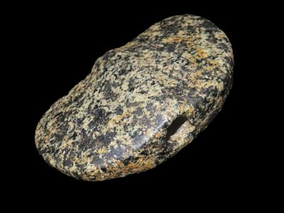 Incredible 3 3/8" Wing Bannerstone, St. Louis Co. Missouri. Motley COA. Amazing Color and 