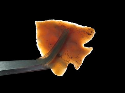 Highly Translucent Carter Cave Fractured Base Decatur, Bath Co. Kentucky. Motley COA. Amazing 