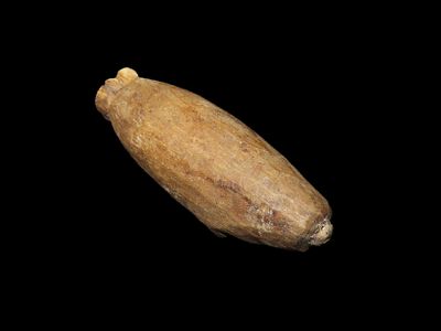 1 3/4" Alaskan Eskimo Carved Seal Effigy, Motley COA. Inticately carved Seal out of wood, with 