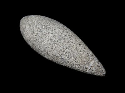 2 7/8" Grooved Plummet, Adams Co. Illinois. Motley COA. Amazing Fossilferous Material, with 