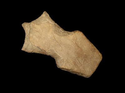 Rare 8 7/8" Stone Mace, Stewart Co. Tennessee. Motley COA. Very rare Mace. Heavily patinated 