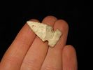 Oustanding Cahokia Point, Madison Co. Illinois. Very thin and well flaked Highly Translucent Image - 2