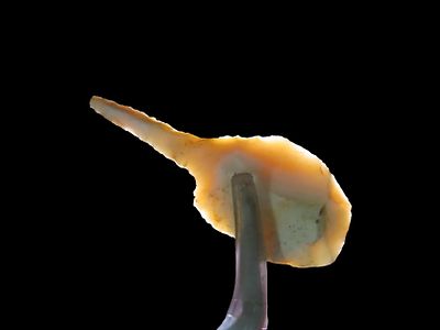 Incredible Cahokia Micro Drill, Highly Translucent. Madison Co. Illinois. Very delicate and 