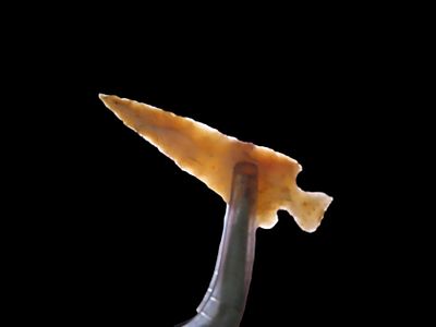 Amazing Scallorn Cahokia Bird point, St. Clair Co. Illinois. Finely flaked High Grade Example 