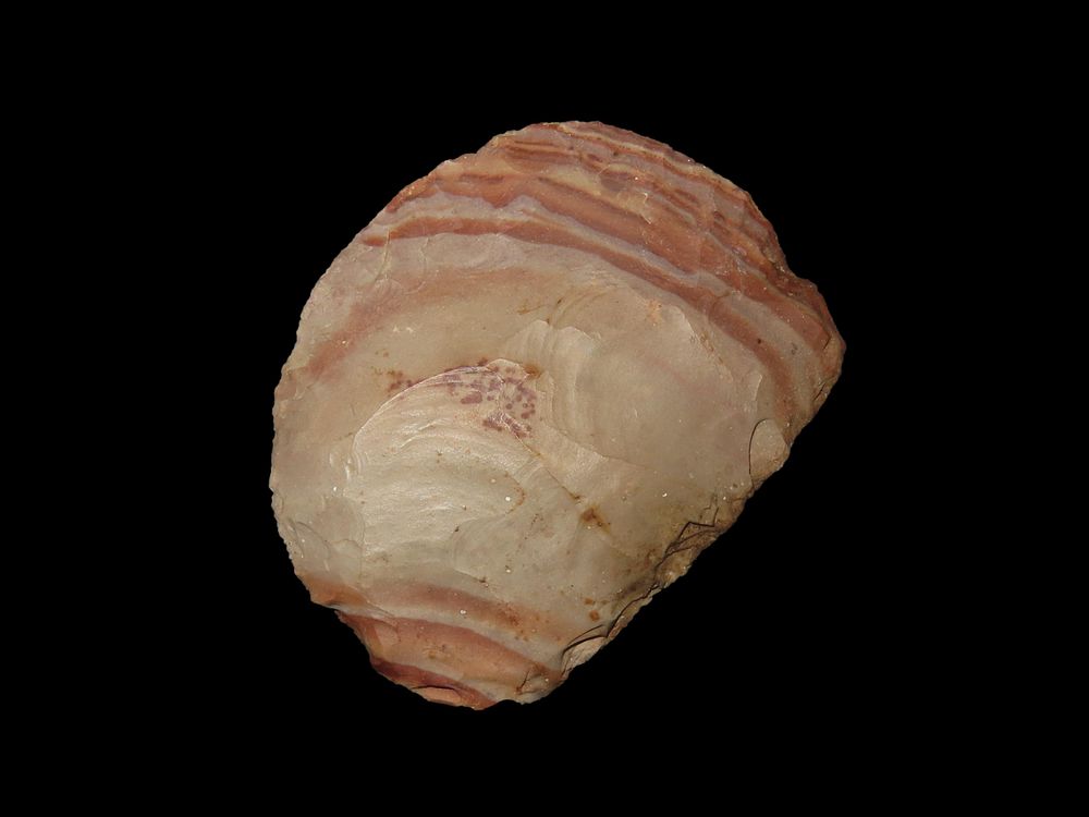 Colorful 2 3/4" Paleo to Archaic Crescent Knife, Buffalo River Chert, Wayne Co. Tennessee. 