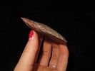 Colorful 2 3/4" Paleo to Archaic Crescent Knife, Buffalo River Chert, Wayne Co. Tennessee. Image - 2