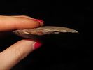 Colorful 2 3/4" Paleo to Archaic Crescent Knife, Buffalo River Chert, Wayne Co. Tennessee. Image - 3