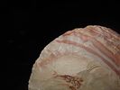 Colorful 2 3/4" Paleo to Archaic Crescent Knife, Buffalo River Chert, Wayne Co. Tennessee. Image - 4