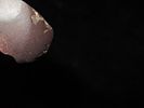 1 7/8" mini Hematite Celt / Adze, Calhoun Co. Illinois. Nice well polished example with Image - 5