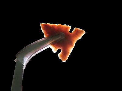 Incredible Agatized / Petrified Wood Sidenotch Gem Point, Weld Co. Colorado. Amazing example 